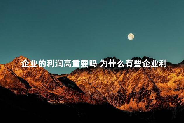 企业的利润高重要吗 为什么有些企业利润很高,但难以